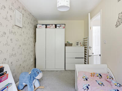 Picture 11